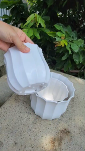 (3 Size) Bộ 02 Chậu Khế Lùn Xinh Xắn Màu Trắng Nhựa Dày Trồng Hoa