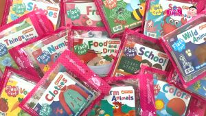 Flash Card เพิ่มศักยภาพการเรียนรู้ให้หนูน้อย 14 หมวด (ซื้อแยกหมวดได้)