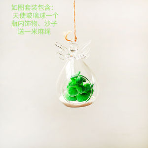 Natural Plant Corner Decorative Glass Hanging Bottle Fake Succulent Micro Landscape Kindergarten Air Hanging Decoration Ring Creation Arrangement Suspension