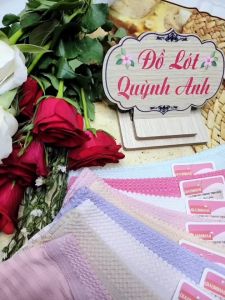 Combo 10 Quần Lót Nữ Thông Hơi Cạp Ren Vải Thun Lạnh Co Giãn 4 Chiều Nhiều Màu Sắc (2008) Size_43-57Kg  - Đồ Lót Quỳnh Anh