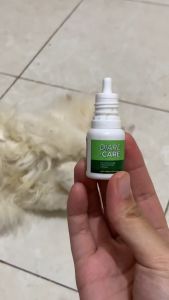 Clever Solutions - DIARECARE (Obat Diare Kucing Obat Anti Diare Mencret Darah Gangguan Pencernaan Kucing Muntah Cat Kitten) [Primacat Prima Cat Olive Care Koinami Babah Cat House Vitamin Kucing Pakan Kucing]