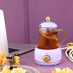 Health Bottle & Electric Stew Cooker: A Comprehensive Guide