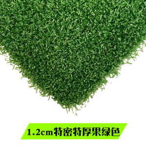 Artificial Golf Putting Green Lawn Carpet Curly Plastic Fake Grass for Kindergarten Ground Greening Simulation Plant