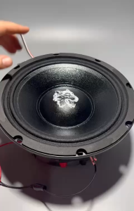 Loa bass 20 Soway hàng nhập 500W từ 140 có 65 xướng gang đức - GIÁ 1 CÁI