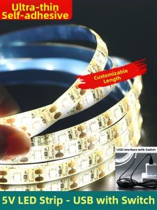 PAIMIJI | Decorative Mood Lighting Strip 5V USB Power Bank