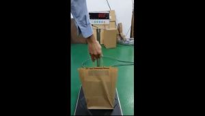 Beg Kertas / Brown Kraft Paper Bag with Twisted handle / Brown Gift Paper Bag / beg kertas - 2sizes available (25pcs per pkt)