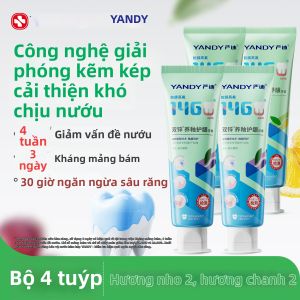 Yandy | Kem Đánh Răng Trắng Sáng Chống Sâu Răng Giàu Kẽm