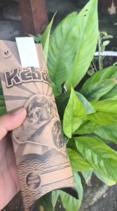 50 PCS GRATIS 2 PCS KEMASAN KEBAB ELEGAN UKURAN 24 X 9 CM