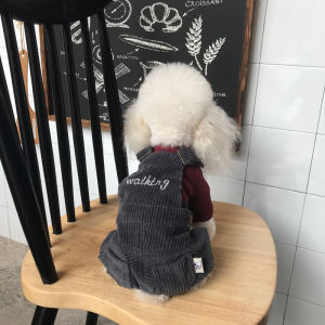 Autumn Winter Dog Clothing Velvet Teddy Bichon Schnauzer Small Dogs Leash Pants Pet Clothes Casual Style EBAERR Brand