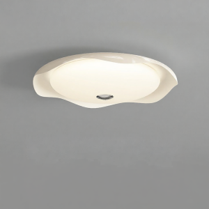 DGY | Ultra Thin Ultra Bright Eye-Protective Bedroom Ceiling Light