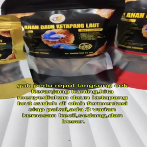 PAKET HEMAT DAUN KETAPANG LAUT ISI 3 PCK UKURAN SML SUDAH DI OLAH FERMENTASI SIAP PAKAI