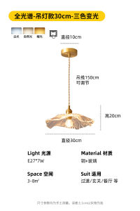 Balcony Light Light Luxury Internet Celebrity Aisle Light Corridor Light Retro Lotus Leaf Ceiling Lamp Japanese Entrance Lamp Lobby Lamp