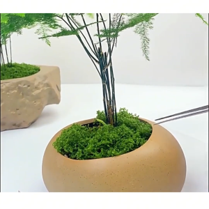 Rêu mô phỏng Rêu nhân tạo dành cho cảnh quan vi mô DIY cây cảnh vườn đá & cảnh giả-HAUSE