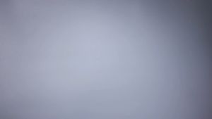 Shapee Cozy Nursing Bra | GoodealBB