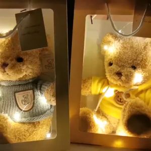 Birthday Gift Teddy Bear with optional Gift Bag Romantic Lights Flower Soft Toy