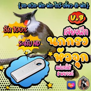 เสียงฝึกนกกรงหัวจุก V.7 ของแฟลช จุดที่ จก-ควิก-ฟิก-ฟก-ไกว๊-เลี้ยว-ติก-ฟก พร้อมส่ง เมมเสียงนกกรงหัวจุก มีเก็บเงินปลายทาง ให้สุดท้ายใช้สำหรับการฉีดฟิลเลอร์!