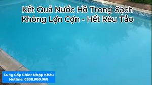 Gói Lẻ 1 Kg Chlorine 70% Ấn Độ Làm Sạch Nước Hồ Bơi - Diệt Khuẩn Nước Sinh Hoạt