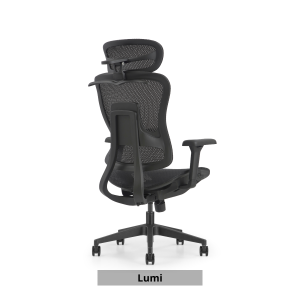 Cozylant Lumi Ergonomic Home Office Chair / Mesh Chair / Optional Leg Rest / Titable Backrest and Seat / Study Chair /Computer Chair / Gaming Chair