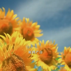 现货MY 洽洽-香瓜子-百煮入味香/原香瓜子-自热原味 休闲零食 瓜子坚果 CHA CHEER-Melon Seed-Richly Cooked and Flavorful/Melon Seed-Original Flavor