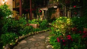 Solar LED String Light Christmas Fairy DIY Light Twinkle Starry String Copper Wire Light Outdoor Waterproof 圣诞灯串