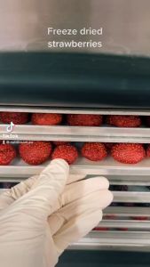 10 เกรด 100G ระดับ สตรอว์เบอร์รีกรอบฟรี ลูกใหญ่ กรอบ อร่อย 🍓