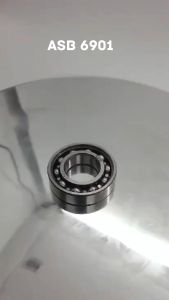 Laker Bearing 6901 ASB Bearing Bosh Arm Vixion INB Original ASB