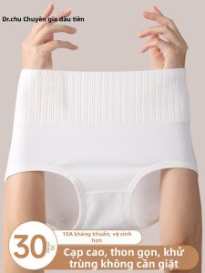 CHUYISHENG | Maternity & Postpartum Disposal Underwear 30 Pieces