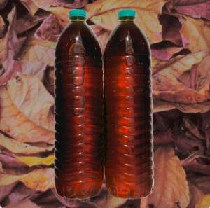 น้ำหมักใบหูกวางสูตรเข้มข้น 100 % ( สูตรไม่ผสมเกลือ ) อามิ อามิ ชุดทำน้ำเขียว สาหร่ายคลอเรลา ไรแดง ไรแดงมาโครโคปา ไรสยาม