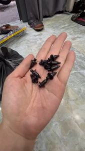 Nút bấm dàn áo siêu chất lượng có màu đen giá là 1 con