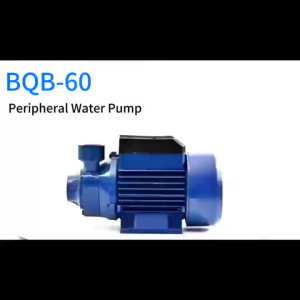 REAIM Self priming Electric Jet Pump Water Booster Heavy Duty Ultra-Quiet Motor Transfer System  Peripheral Portable Irrigation pump