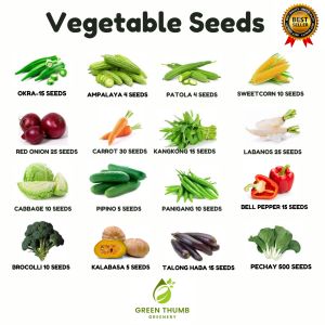 VEGETABLE SEEDS / HIGH QUALITY ( Mustasa | Pechay | Kangkong | Carrot | Sitaw )