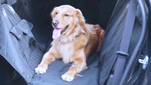 เบาะรองนั่งกันเปื้อนสุนัข Pet Seat Cover เบาะรองกันเปื้อนในรถสำหรับสุนัข ผ้าคลุมเบาะกันเปื้อน สำหรับสุนัข แผ่นรองกันน้ำ สำหรับสัตว์เลี้ยง กันสกปรก