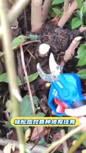 AKAIDO 21V Brushless Cordless Pruner Scissors AKPS30BL Gardening Electric Cutter Shears Tree Branch Cutting Power Tool