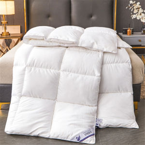 Winter Autumn White Quilt Core Soft Fluffy Single Size Comforter Quilted Comfortable Thick Blanket 150*200cm Home Hotel Dorm Use