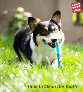 [GiGwi] Suppa Puppa Series: Rabbit/Monkey (S Size) | Helps To Clean Your Dogs Teeth During Play | Makes Squeaking Sound And Suitable For Fetching & Chewing