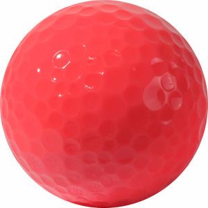 PGM GOLF | Colorful New Practice Solid Golf Balls