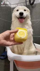 [COD]Sikat Kucing Buat Mandi Sikat Mandi kucing Silikon Bahan Silikon Tahan Air Warna-Warni Untuk Mandi Anjing Dan Kucing Peliharaan