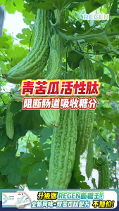 [𝐁𝐄𝐒𝐓 𝐒𝐄𝐋𝐋𝐄𝐑] 血糖克星 Hishin Regen断糖王 Hypoglycemic Botanical Beverage 断糖素(8g x 15 Sachets)