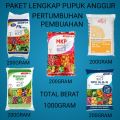 Pupuk anggur paket lengkap pupuk pertumbuhan pembuahan anggur. 