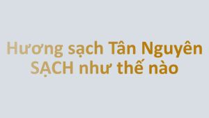 Nhang quế Tân Nguyên hương quế nhang thơm thờ cúng túi 500g mùi hương dịu nhẹ an toàn sức khỏe