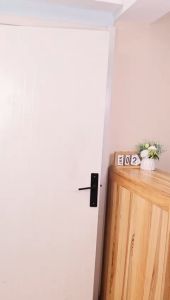 Wiss Lifestyle Formaldehyde Purifying Gel Purifier/ Home Renovation/ TVOC/ Ammonia/ Odour Remover 200g SG Ready Stock