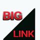 BIGLINK