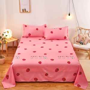 Student Dormitory Flannel Bed Sheet