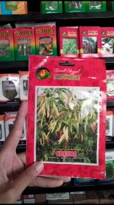 Bibit Cabai KRESNA 10gr Benih Sayuran Cabe Rawit Putih Merunduk Unggulan Para Petani JAWARA