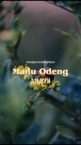Madu Hutan Murni Kemasan 700gram Kemasan Botol Marjan: Manfaat & Tips