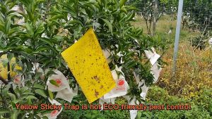 Strong Flies Traps Bugs Sticky Board Yellow Double-Sided Sticky Insect Board