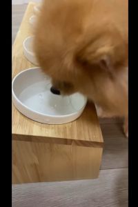 ยกแพ็ค6ขวด คละสูตร มิวเร่ Mewre ลดกลิ่นปาก สุขภาพช่องปากที่ดี ลดความเสี่ยง โรคนิ่วโรคไต เสริมการดื่มน้ำ