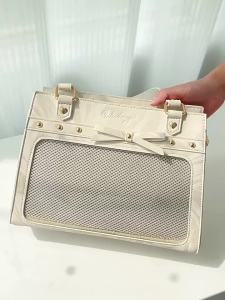 WUDONG | Transparent Versatile Shoulder Bag