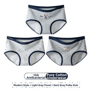 Cotton Preppy British Style Teenager Underwear