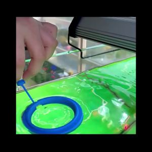 Aquarium Fish Feeding Ring Fish Tank Blue Floating Station Food Tray Feeder Prevent Food Dispersion Fish Pinch with Suction Cup